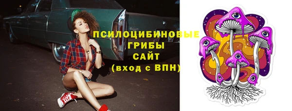 спиды Бронницы