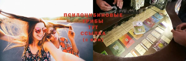 спиды Бронницы