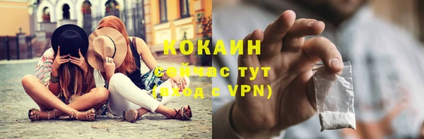 mix Бородино