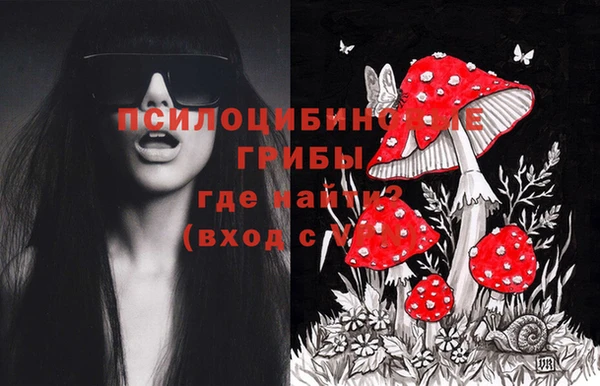 mix Бородино