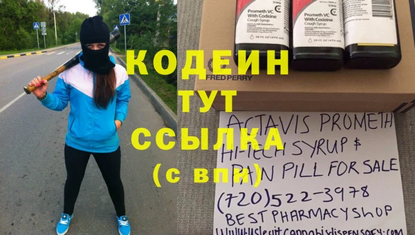 индика Балабаново