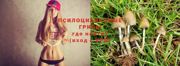дурь Богородицк