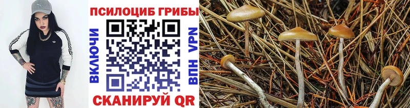 Купить закладки  Сердобск  Галлюциногенные грибы прущие грибы 